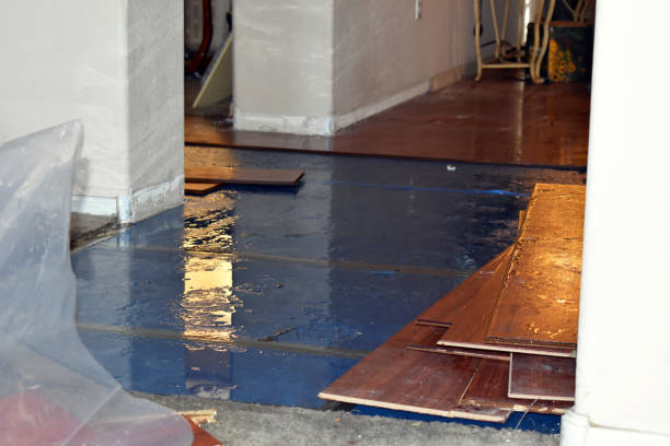 Professional Flood Damage Restoration technician working in Gladstone, MO